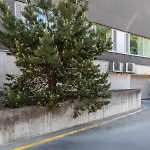 Your Dream Flat In The City Centre + Free Parking