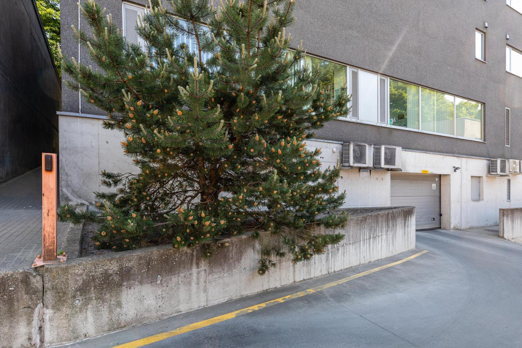 Lägenhet Your Dream Flat In The Centre + Free Parking Tallinn